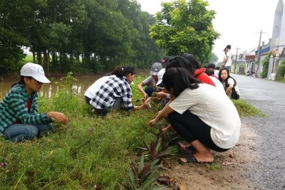 NGÀY CHỦ NHẬT XANH 09/09/2018