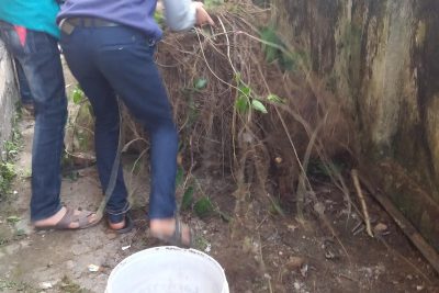 NGÀY CHỦ NHẬT XANH ĐẦU THÁNG 4/2018