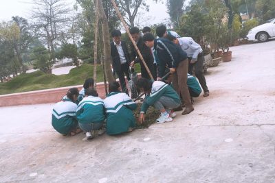 TẾT TRỒNG CÂY NHÂN DỊP ĐẦU XUÂN KỶ HỢI 2019